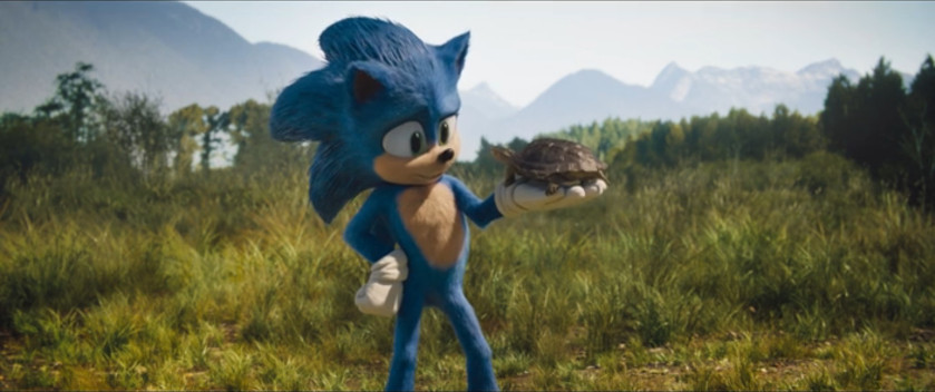Sonic The Hedgehog - Sonic and a Turtle